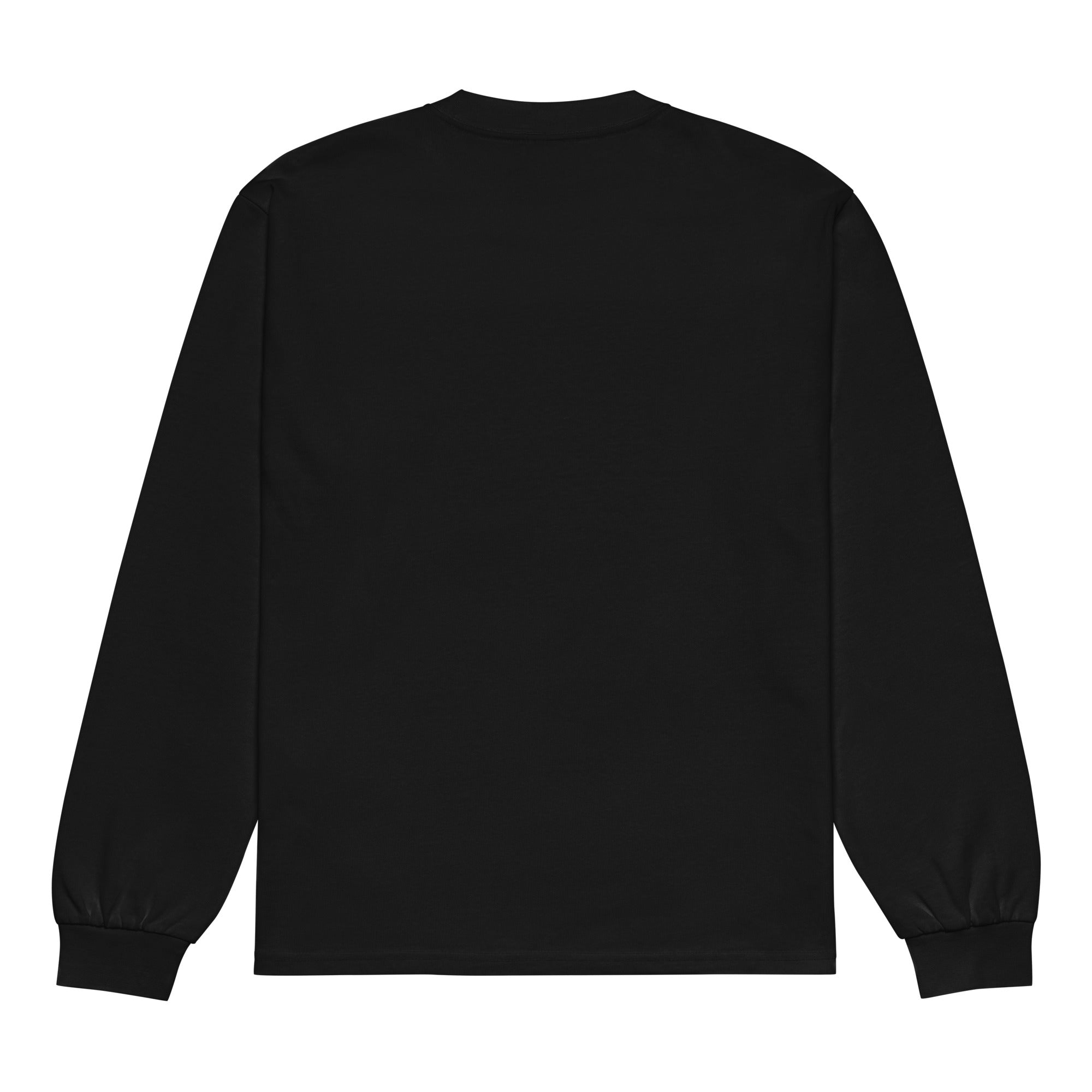 Blurry Vision Premium heavyweight long sleeve shirt