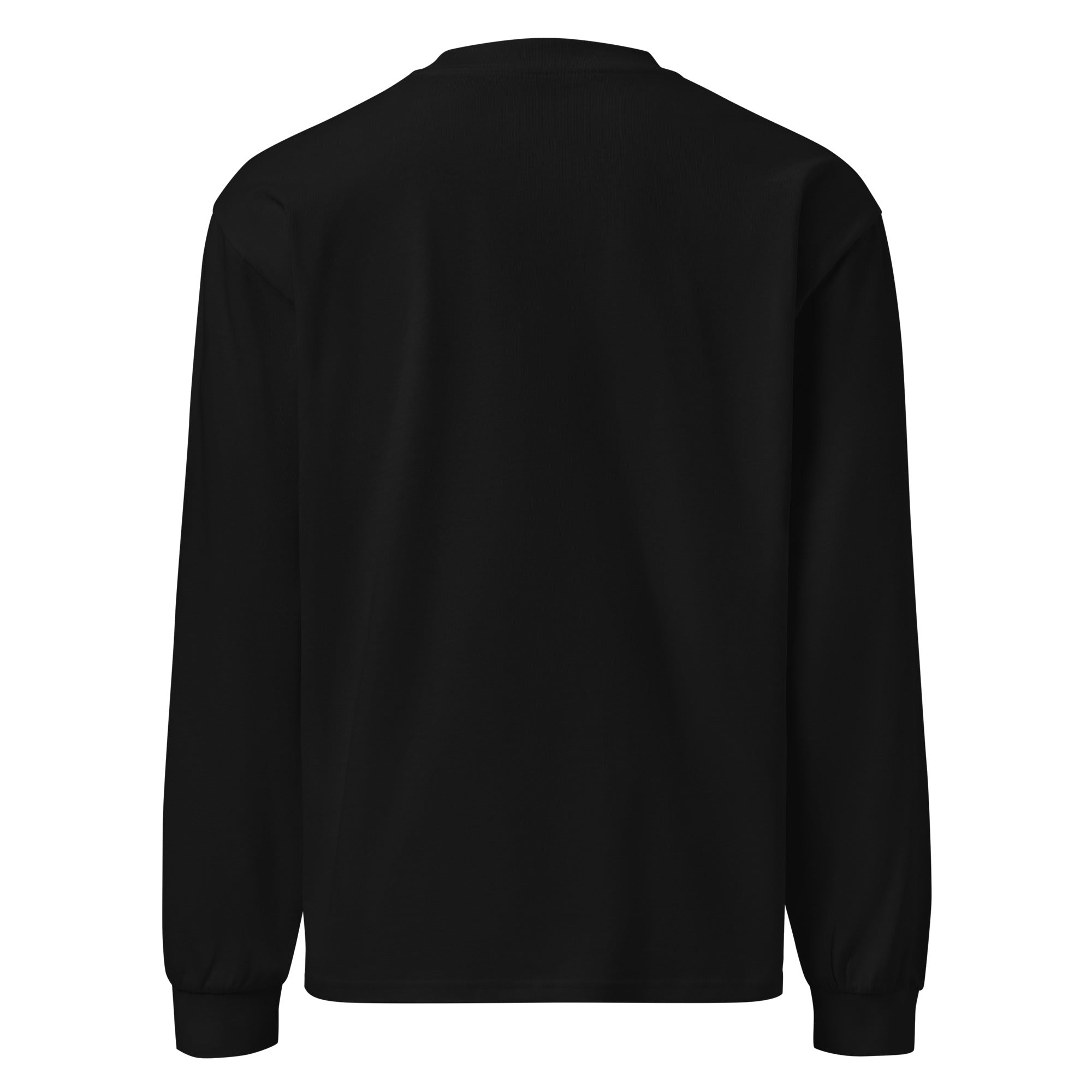 Blurry Vision Premium heavyweight long sleeve shirt